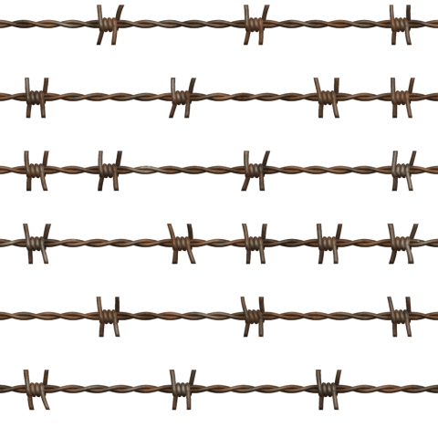 Barbwire PNG Pic