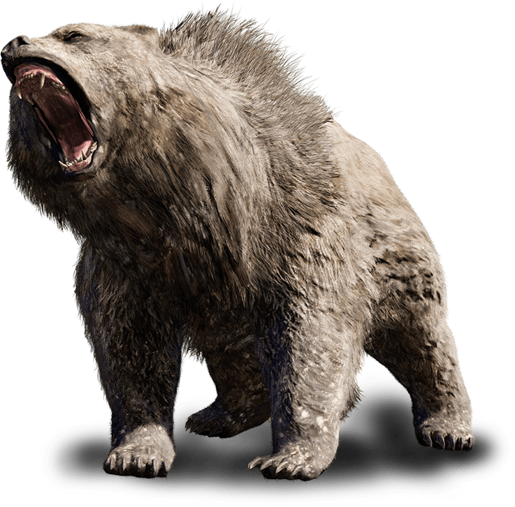 Bear Download Transparent PNG Image