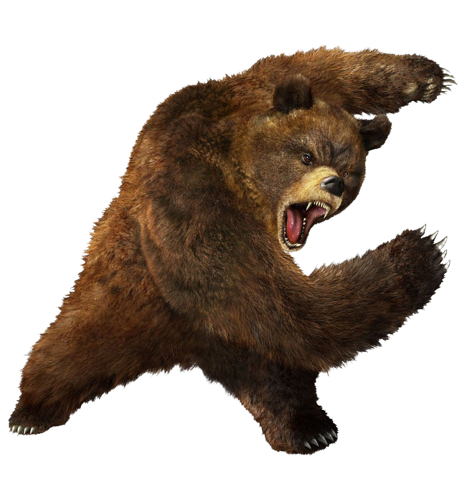 Bear PNG Image Transparent