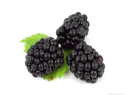 BlackBerry Fruit تنزيل PNG