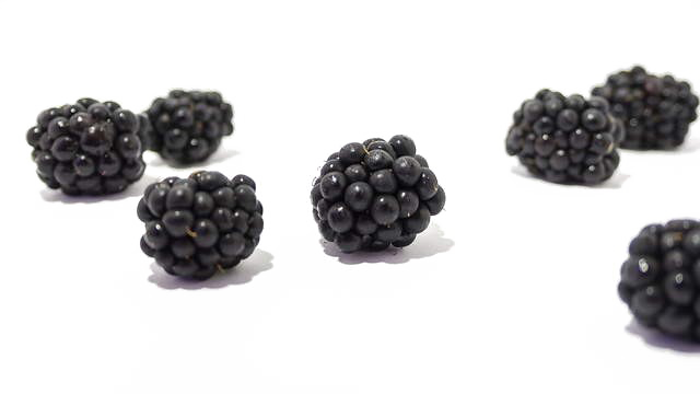 BlackBerry Fruit Unduh Gambar PNG Transparan