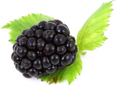Gambar PNG buah blackberry Gratis