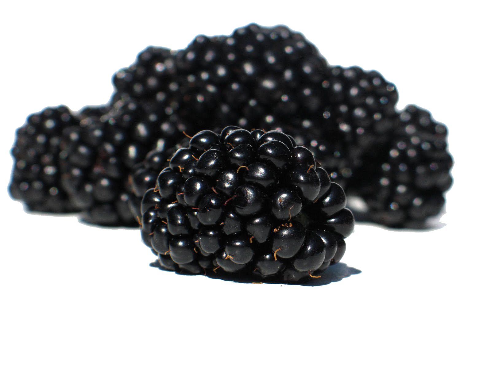 Foto buah blackberry PNG