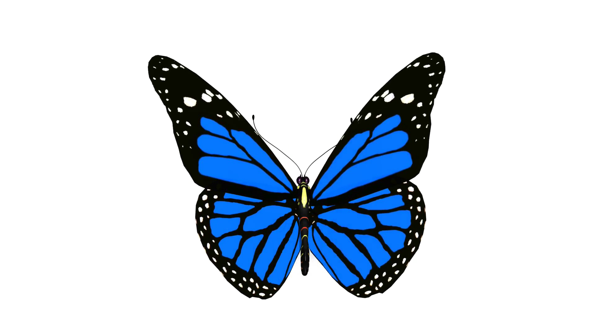 Download Blue Butterfly PNG Pic | PNG Arts