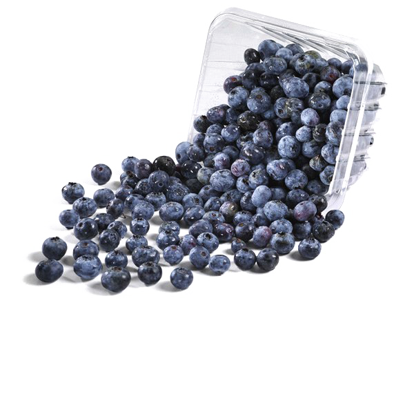 Blueberries PNG صورة خلفية