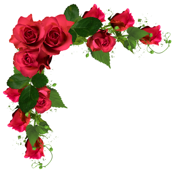 Ramo de flores rosas PNG gratis imagen | PNG Arts