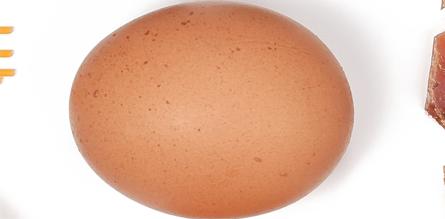 Kahverengi yumurta PNG indir resmi