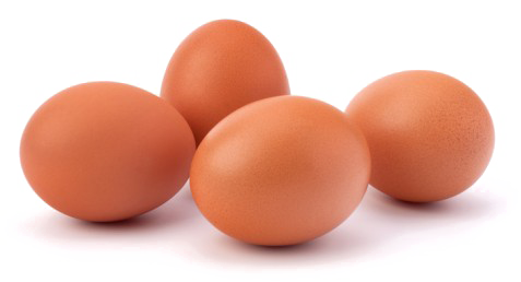 Kahverengi yumurta PNG Pic
