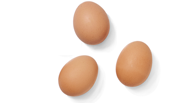 Kahverengi yumurta şeffaf arka plan PNG