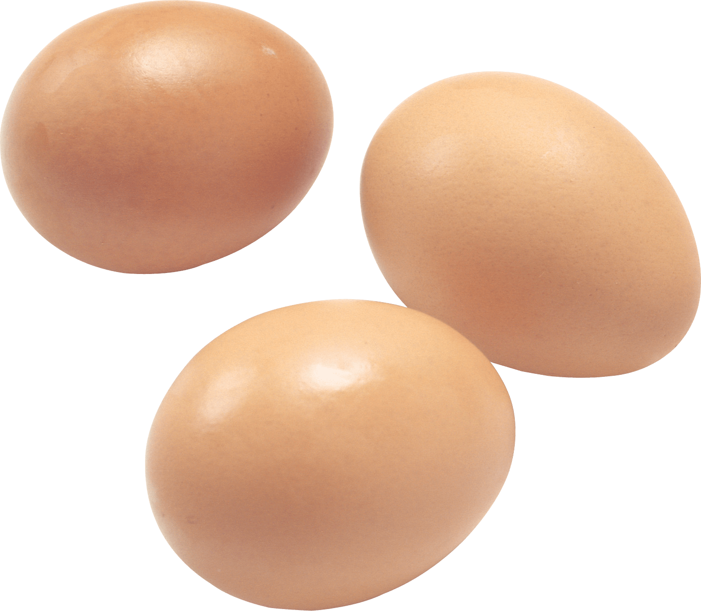 Brown Egg Transparent Image