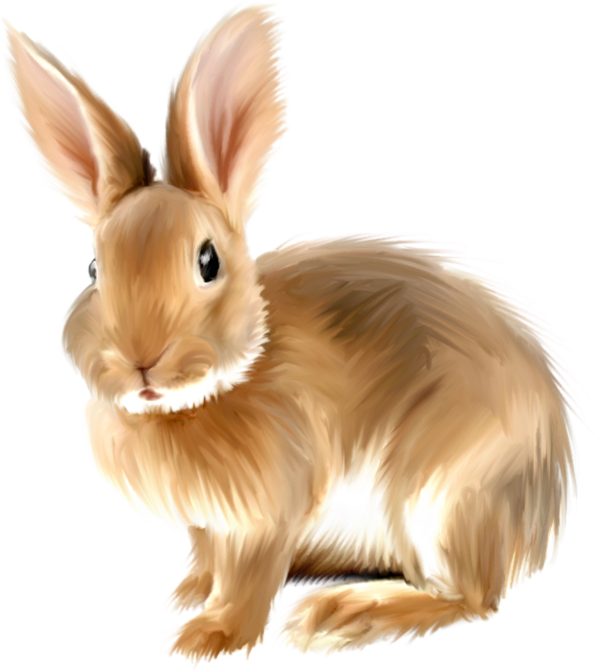 กระต่ายสีน้ำตาล PNG ภาพโปร่งใส