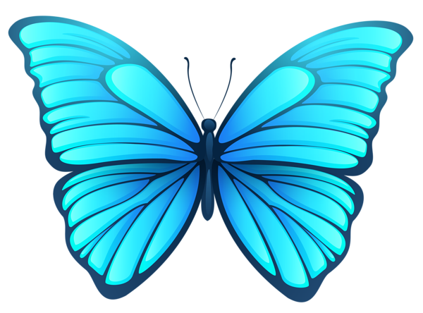 Butterfly PNG Image with Transparent Background | PNG Arts