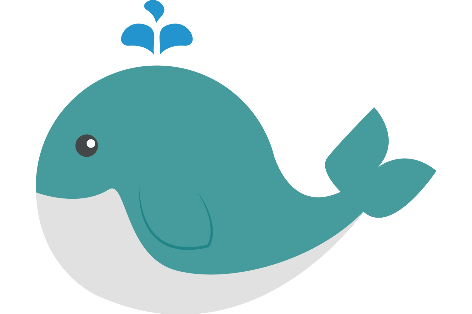 Cetacea PNG Gambar Transparan