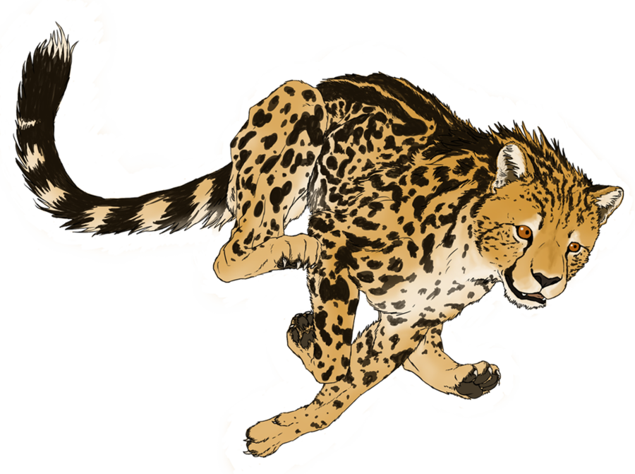 Cheetah Gratis PNG-Afbeelding