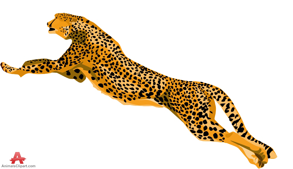 Cheetah PNG Download Afbeelding