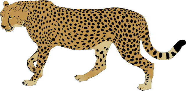 Cheetah PNG-Afbeelding Achtergrond