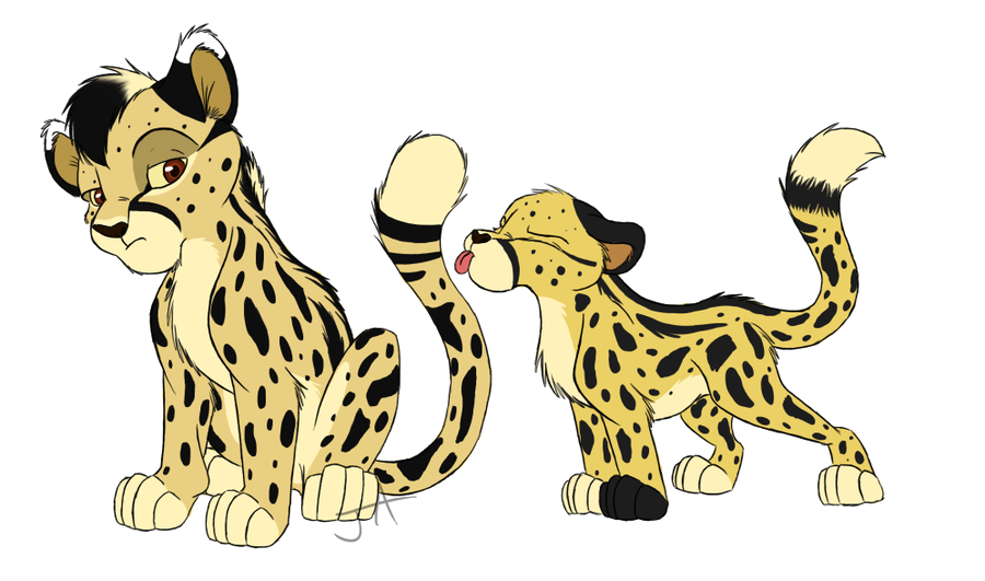 Cheetah PNG Transparant Beeld