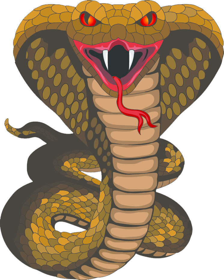 Cobra PNG изображения с прозрачным фоном