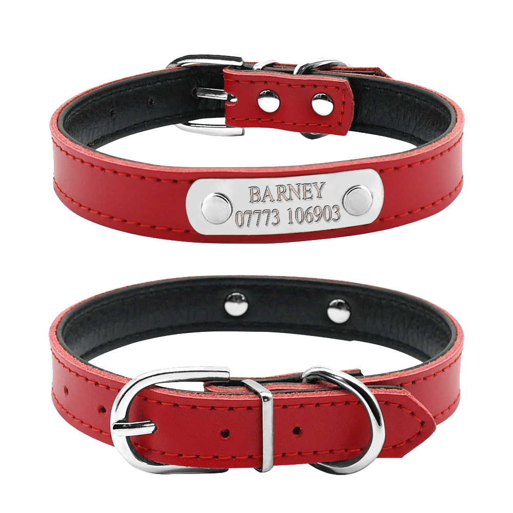 Dog Collar PNG Transparent Images, Pictures, Photos | PNG Arts