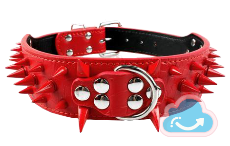 Dog Collar PNG Image Transparent