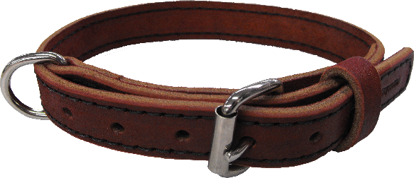 Dog Collar PNG Image with Transparent Background
