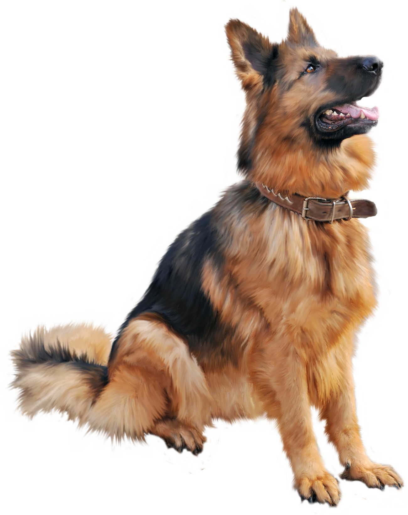 Dog PNG Picture