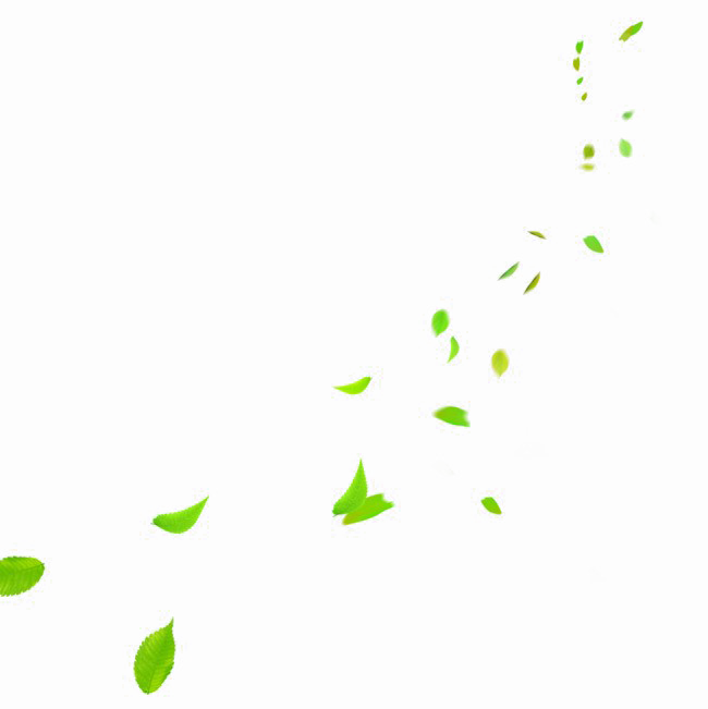 Падающие зеленые листья PNG фото