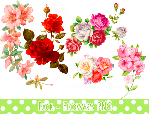 ดอกไม้ภาพพื้นหลัง PNG