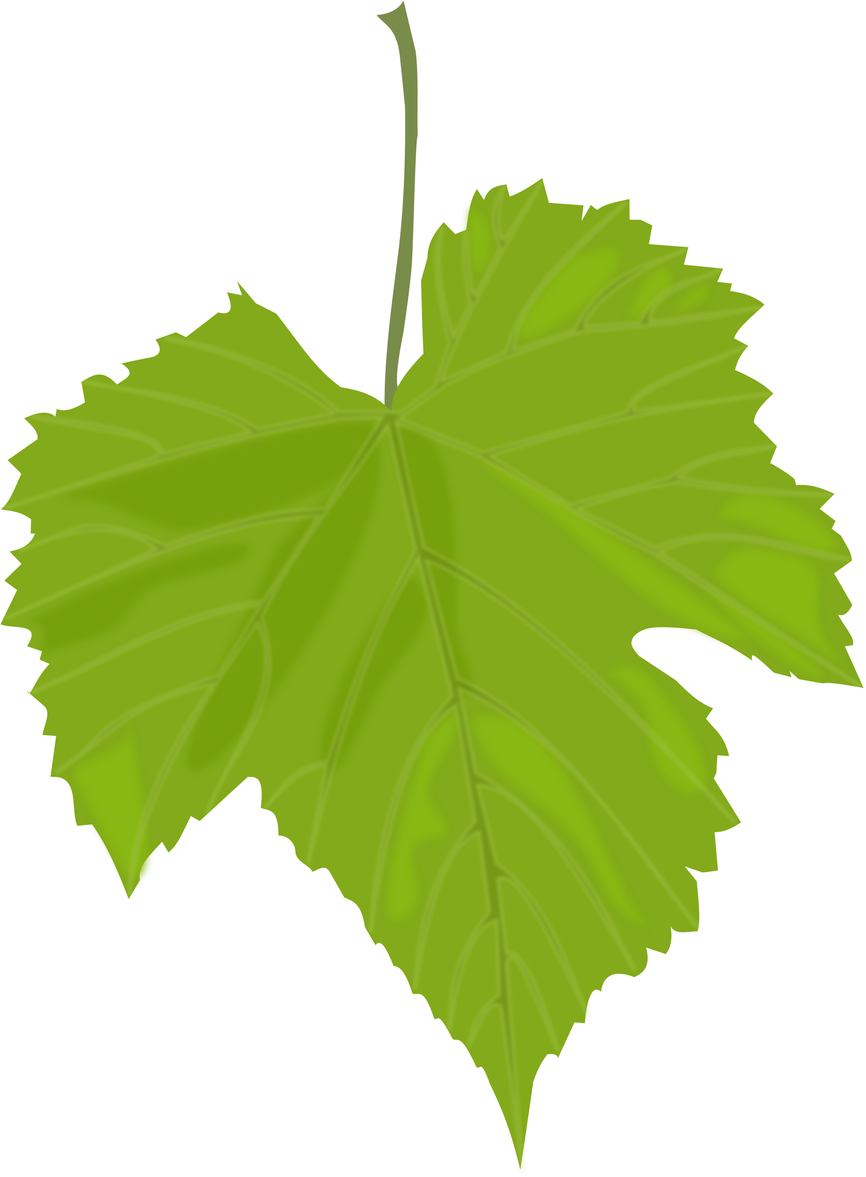 녹색은 무료 PNG 이미지를 나뭇잎