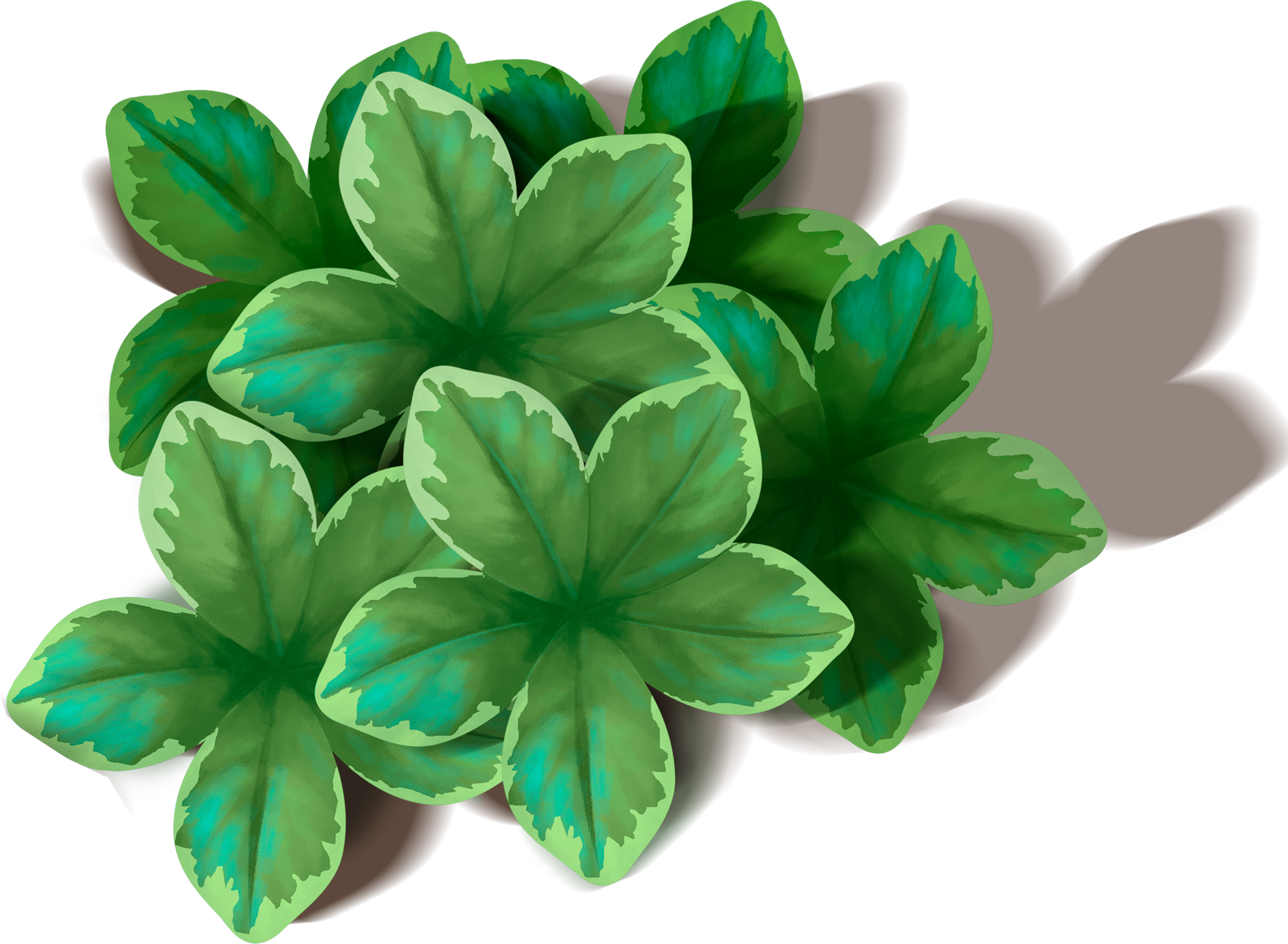 녹색 잎 PNG 배경 이미지