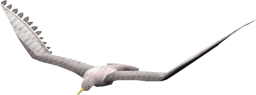 Gull PNG ภาพโปร่งใส