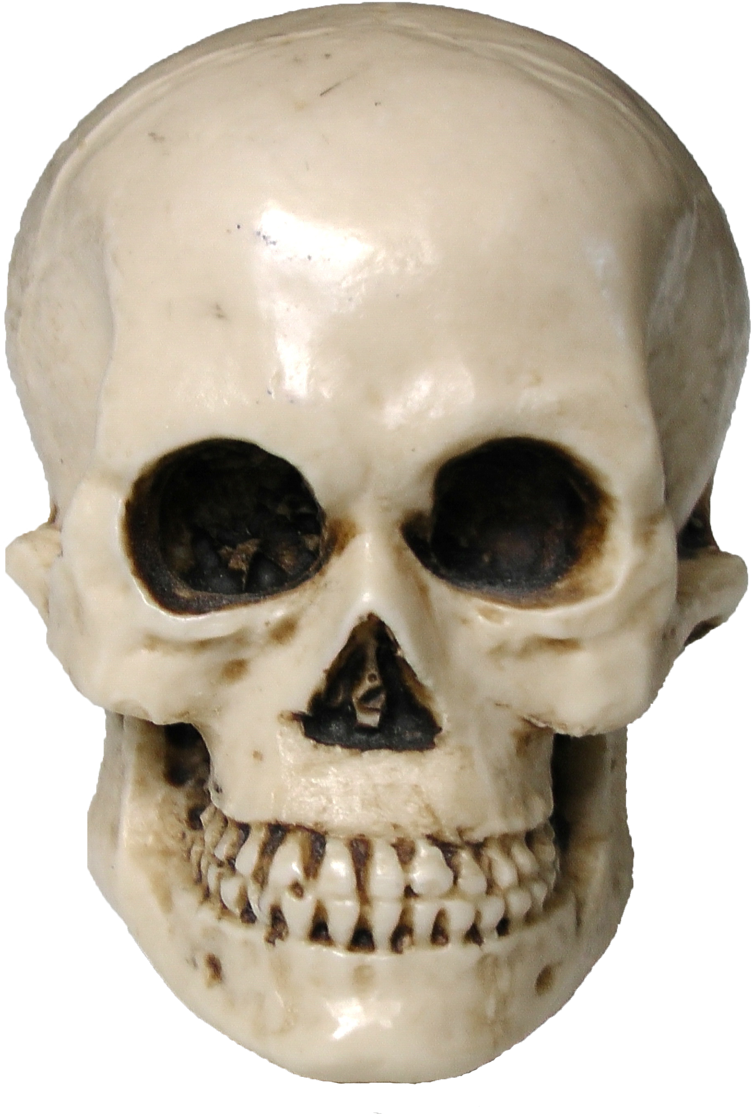 Imagen de Halloween Skull PNG