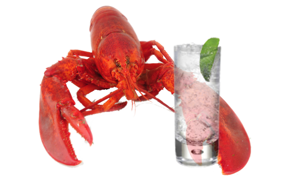 Lobster ดาวน์โหลดภาพ PNG โปร่งใส