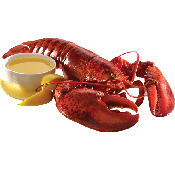 อิมเมจ PNG ฟรี Lobster