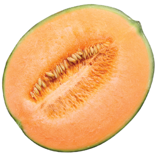 Melon PNG Gambar