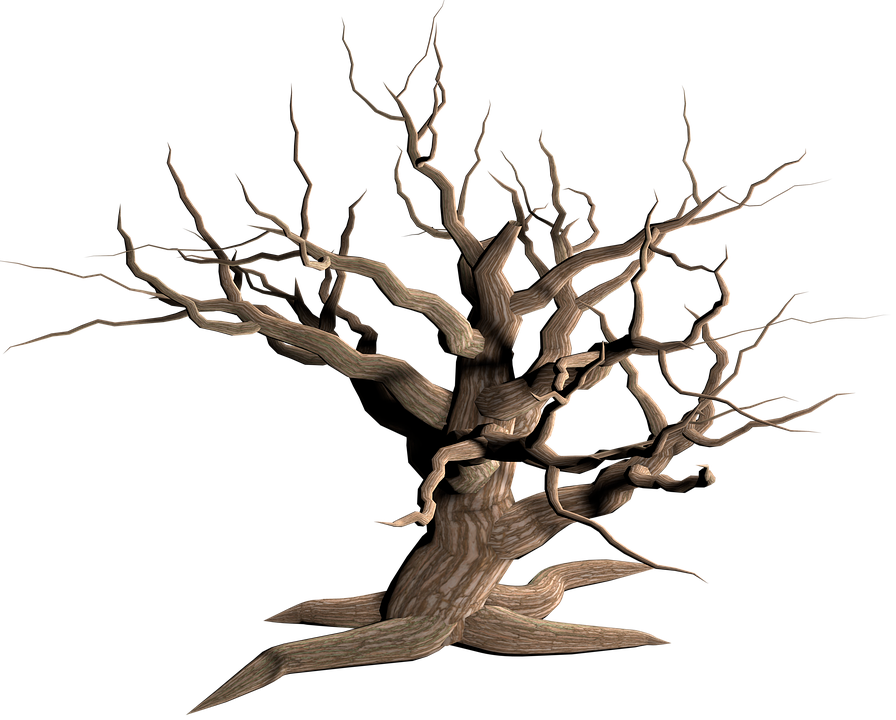 Старое дерево PNG изображение прозрачно
