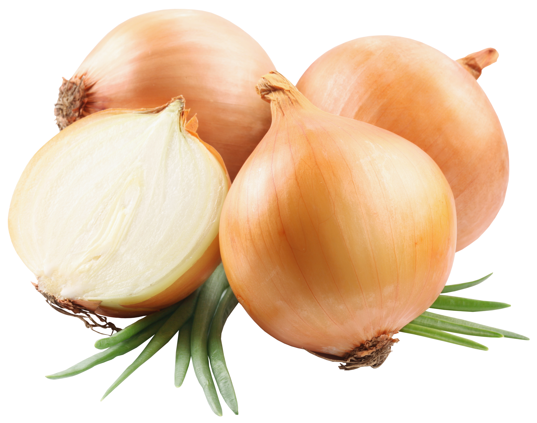 Onion PNG Image Background