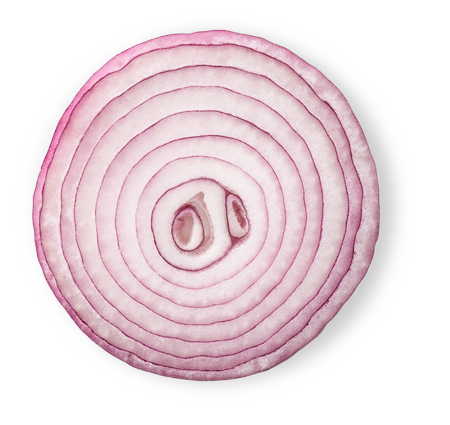 Onion PNG Photo