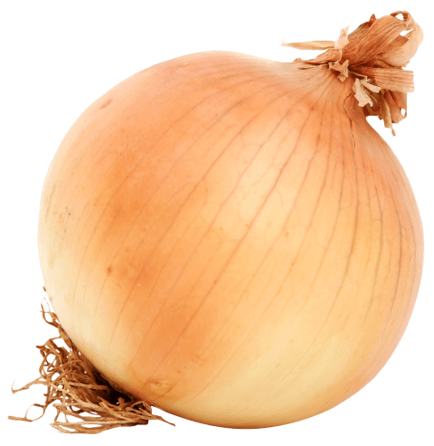 Onion Transparent Image