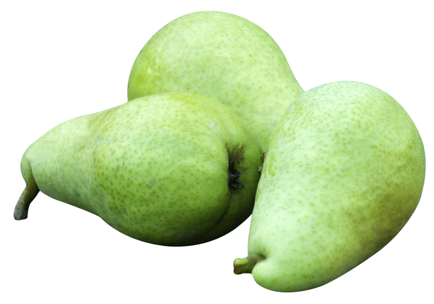 Pear Unduh Gambar PNG Transparan