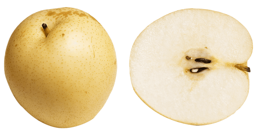 Pear PNG Gambar