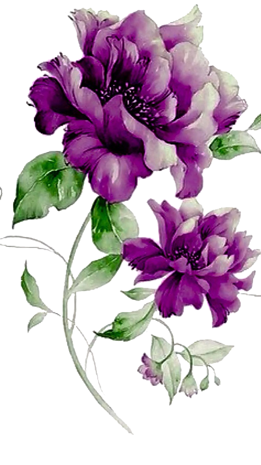 Photo de fleurs violettes PNG