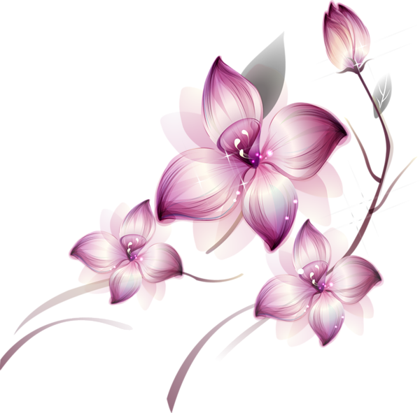 Fleurs violet PNG image