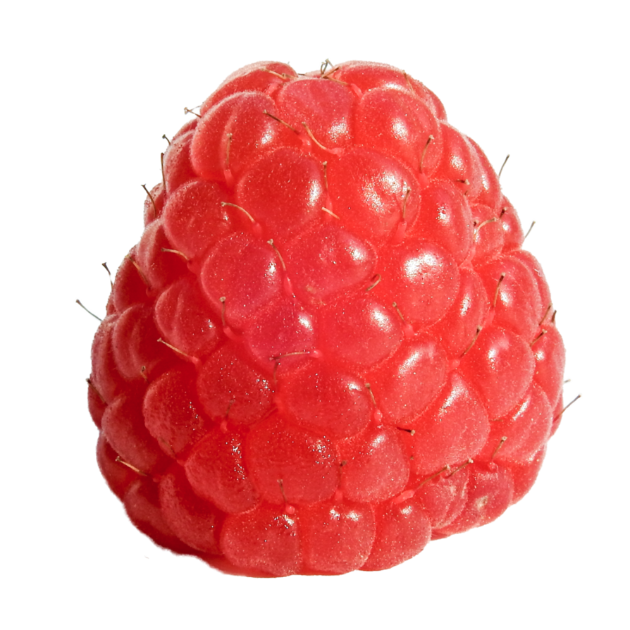 Raspberry PNG Picture
