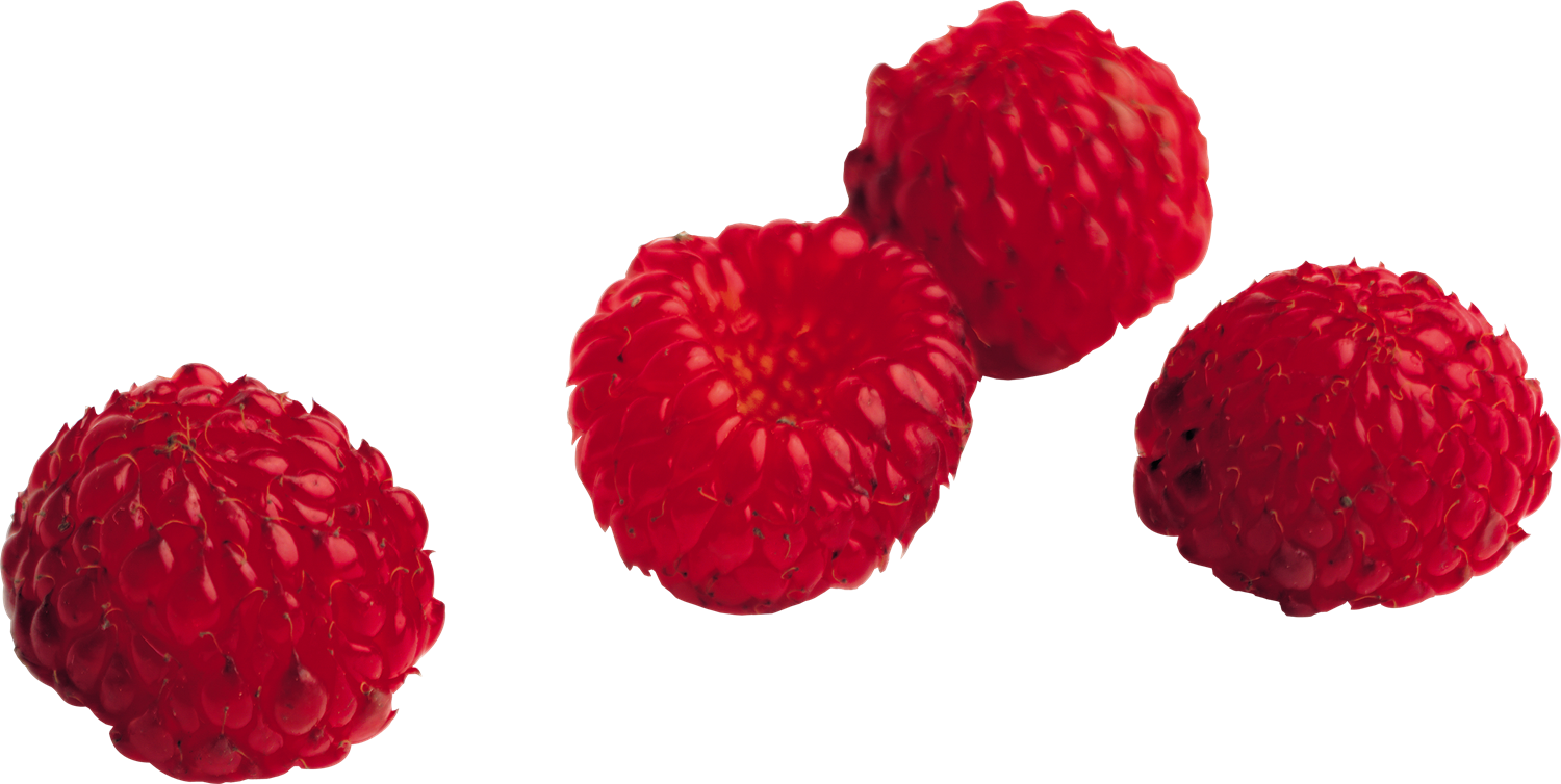 Raspberry Transparent Background PNG