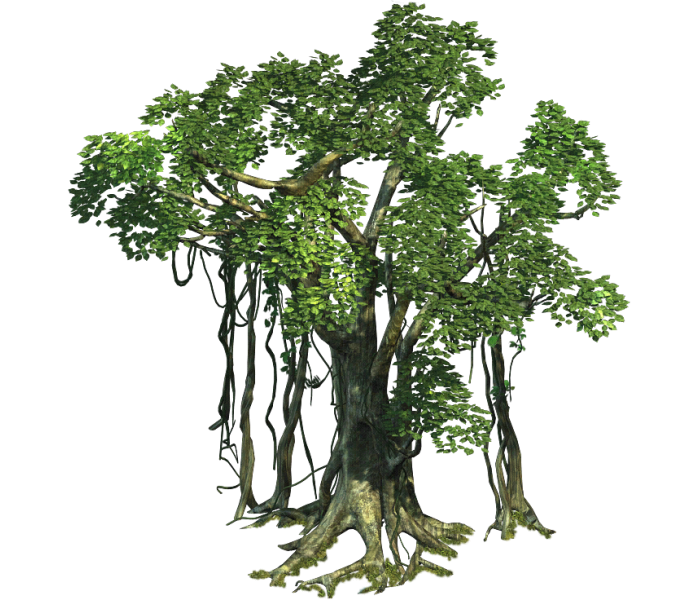 Реалистичное дерево бесплатно PNG Image