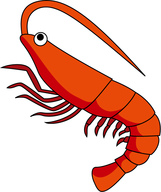 Red Shrimp PNG descargar imagen