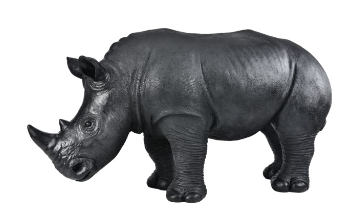 Rhinoceros PNG Image