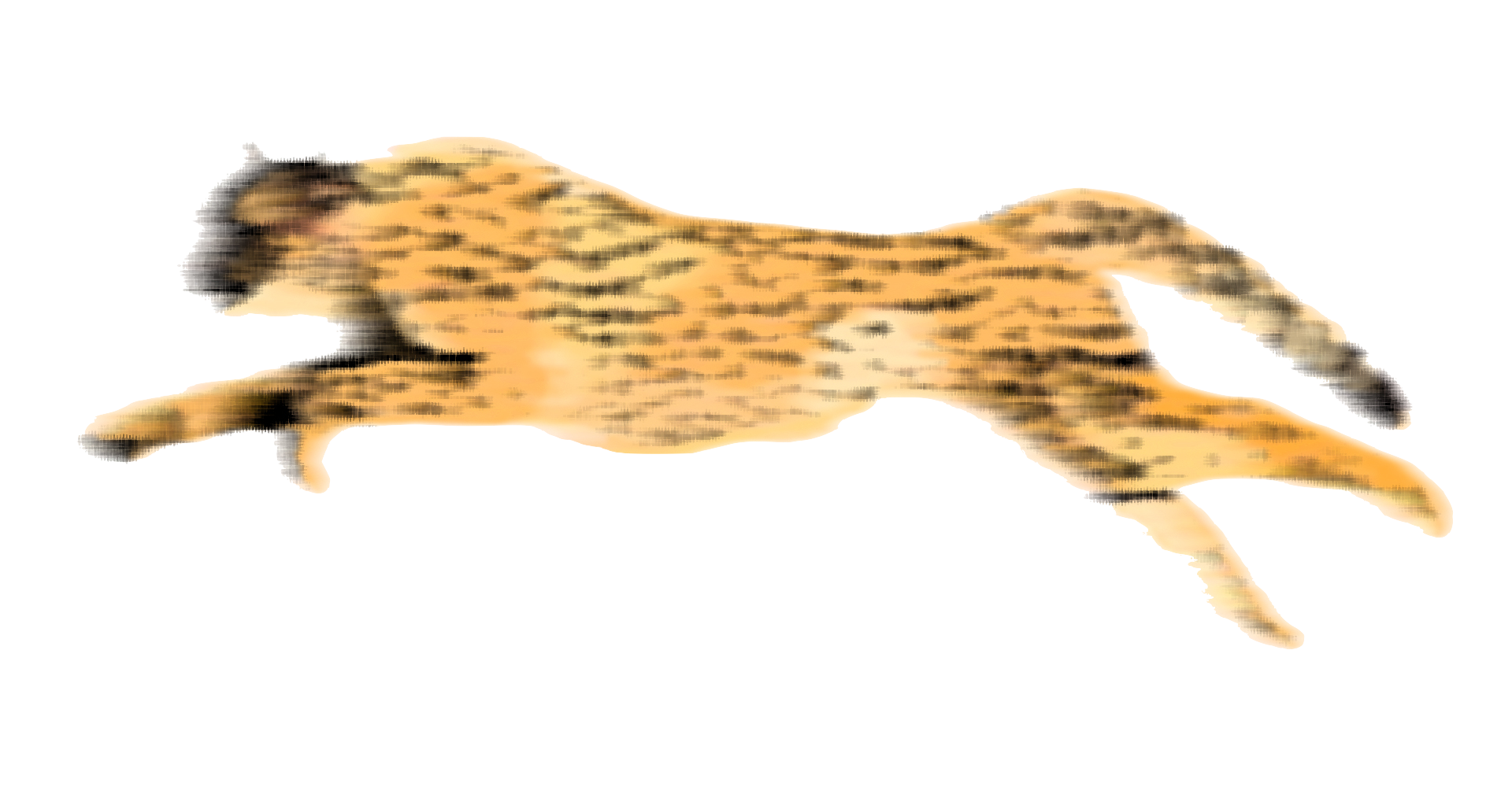 Lopende Cheetah Gratis PNG-Afbeelding
