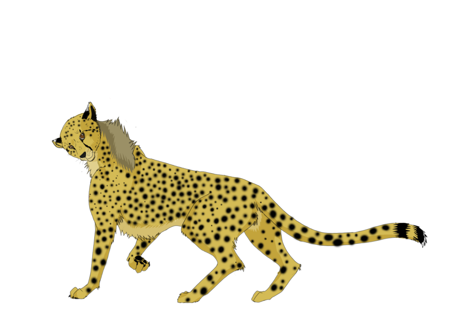 Lopende cheetah PNG achtergrondafbeelding
